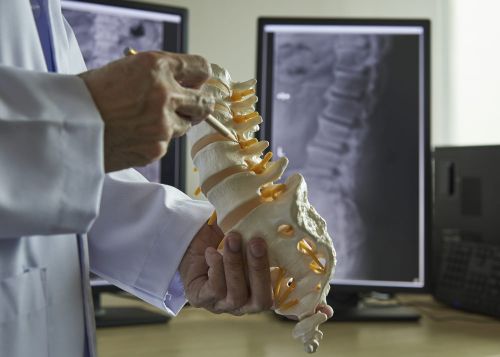 A neurosurgeon using pencil pointing at lumbar vertebra model in medical office. Lumbar spine x-ray on computer screen on background.